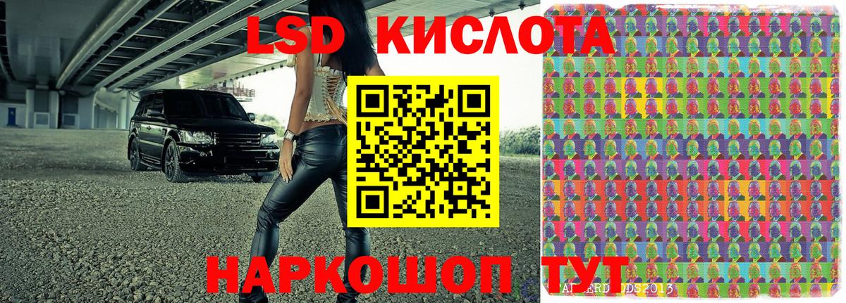 Губкин  Наркотические марки 1,8мг  Вход с VPN 
