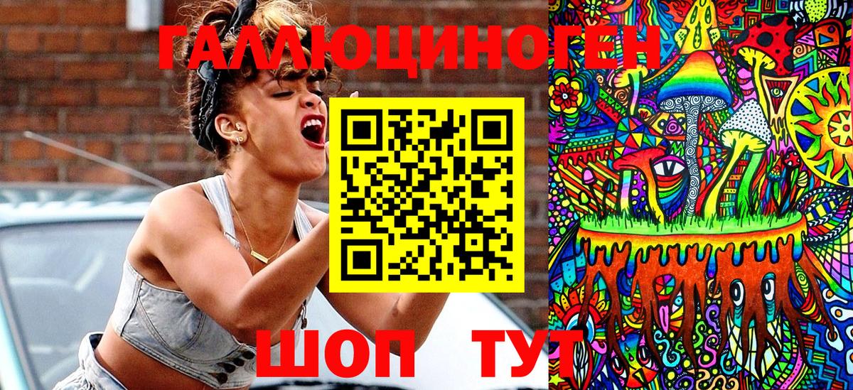 Губкин  Псилоцибиновые грибы прущие грибы  цены   Вход с VPN 