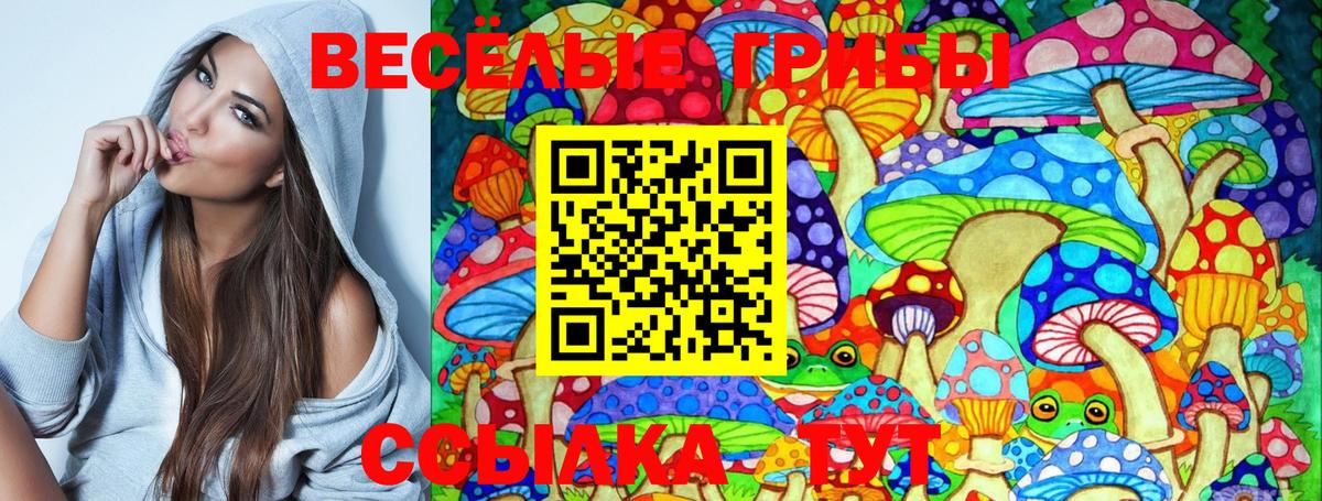 Псилоцибиновые грибы Psilocybine cubensis Губкин