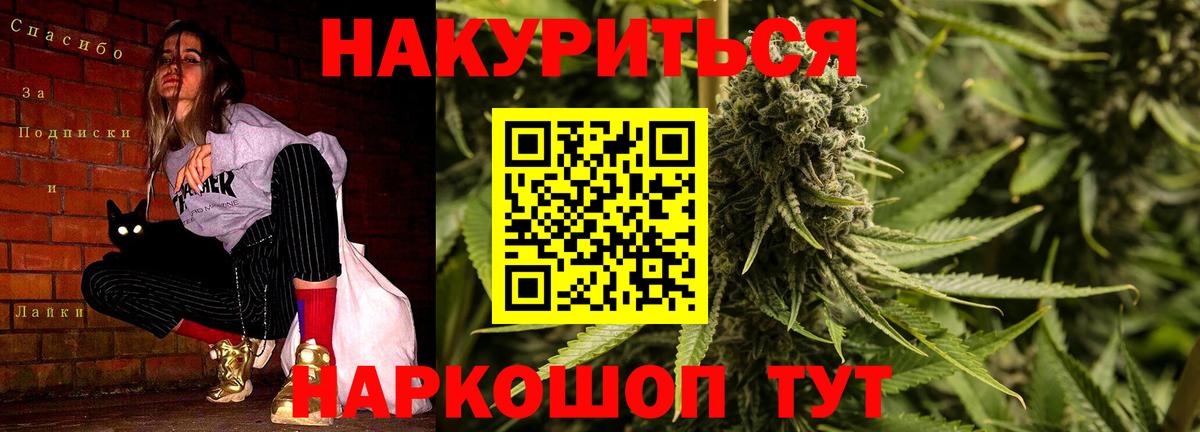 Шишки марихуана гибрид Губкин